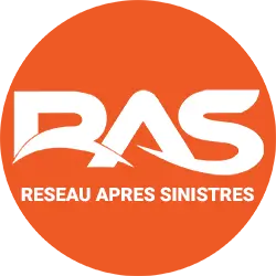 RAS-logo-site-web-rdf