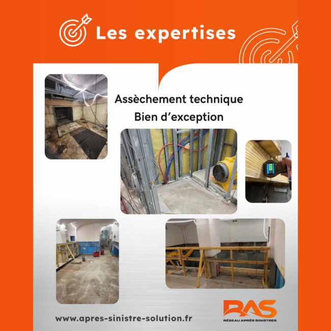 Expertise-assèchement-bien-d'exception