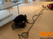 assechement-parquet-RAS